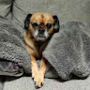 Meet your Posher, Nichole